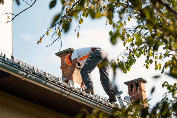 Best Storm Damage Roof Repair  in Hollister, CA
