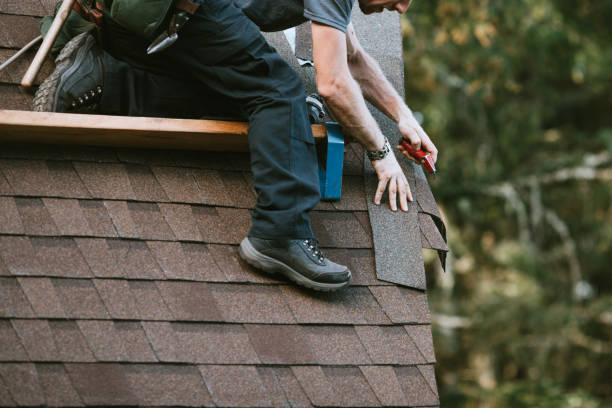 Best Roof Maintenance Services  in Hollister, CA